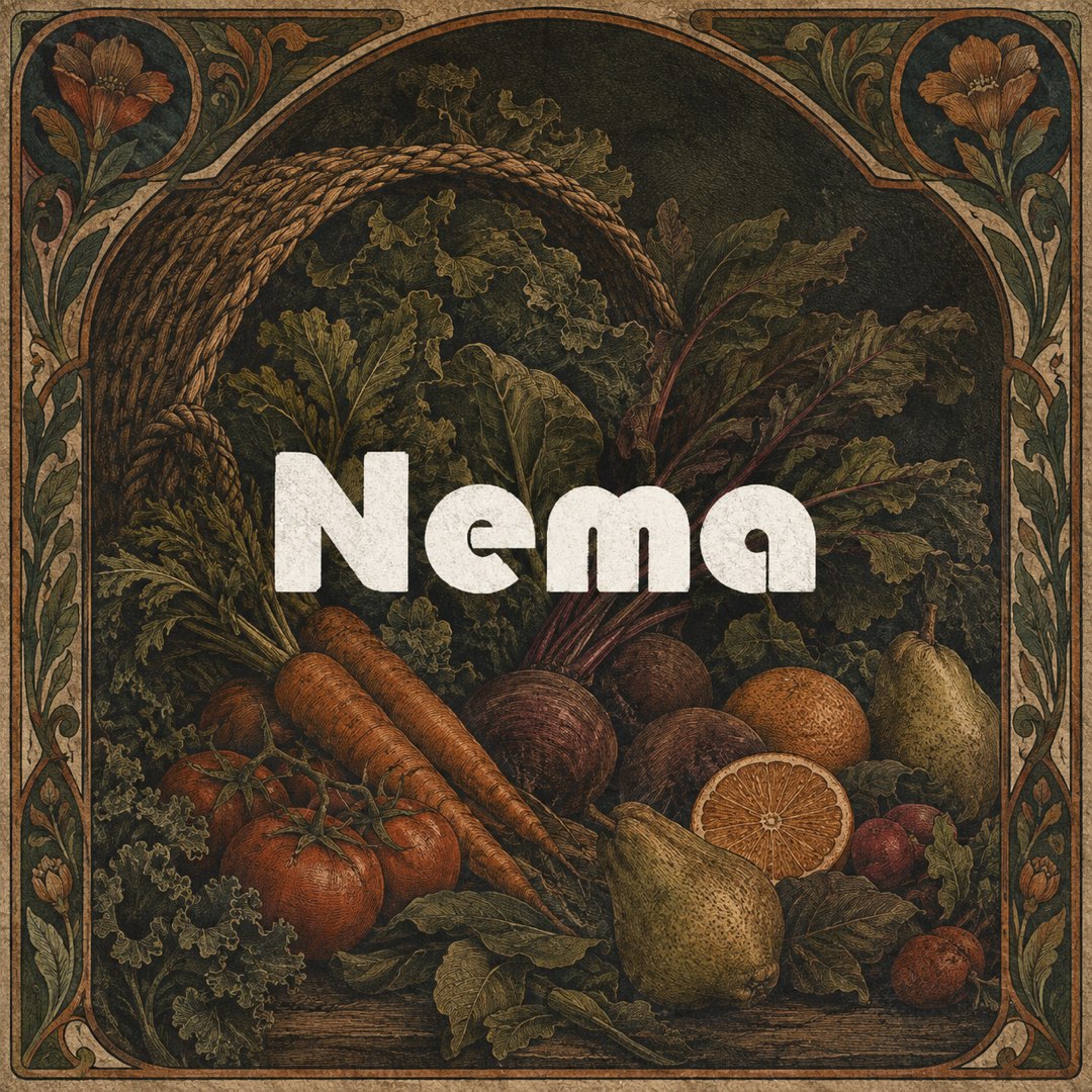 Nema